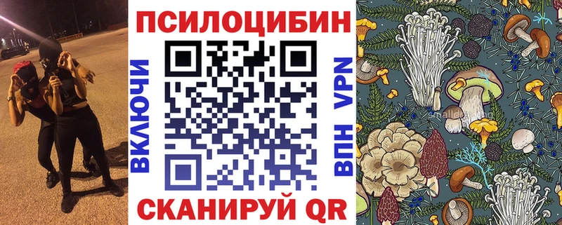 где купить наркотик Видное Галлюциногенные грибы ЛСД