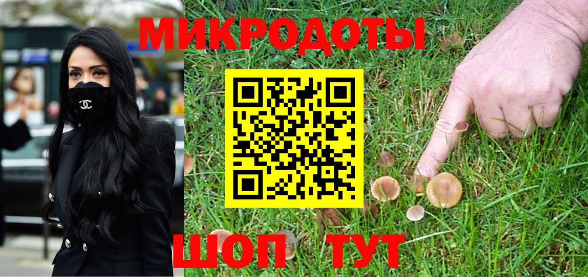 Псилоцибиновые грибы Psilocybine cubensis  Видное 