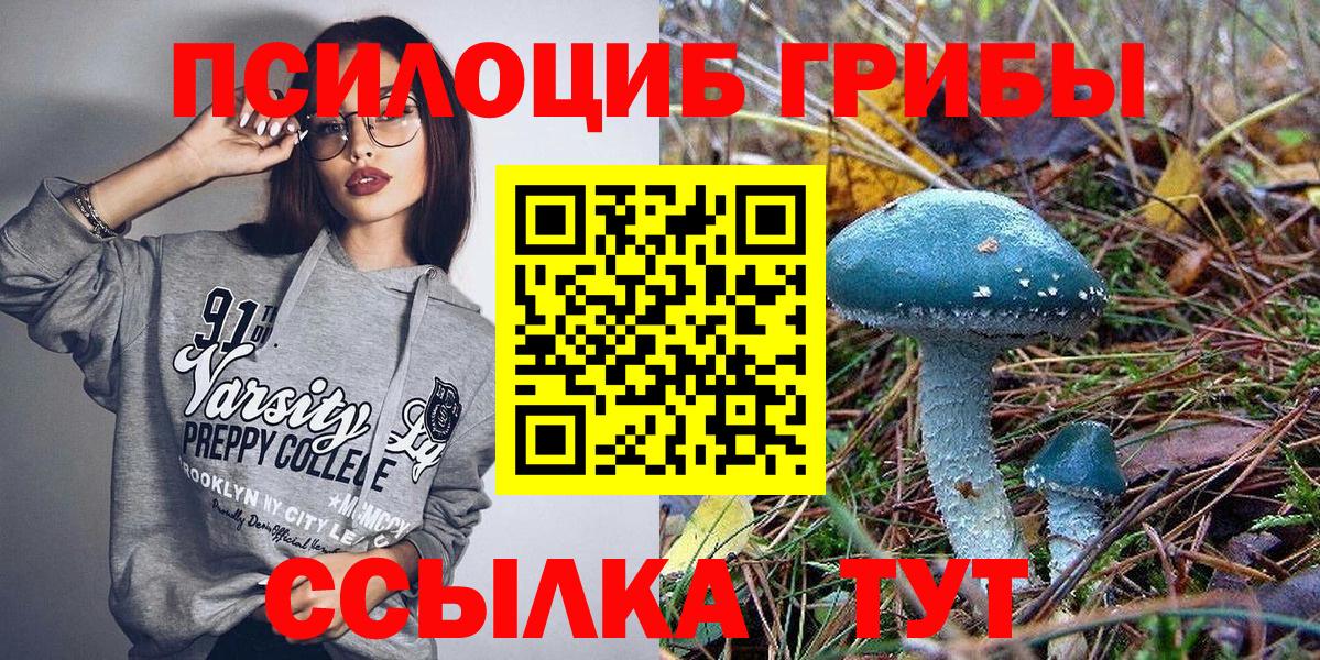 Галлюциногенные грибы прущие грибы Видное
