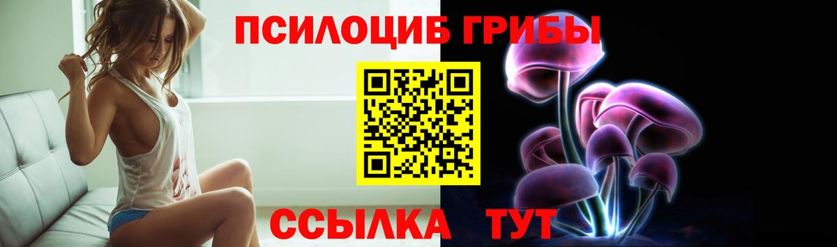 Видное  Галлюциногенные грибы Psilocybine cubensis  Вход с VPN 